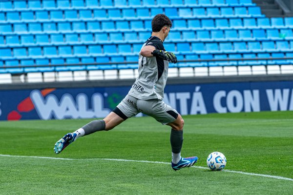 Winterpflege für Langhaarhunde: Die besten Tipps für strahlendes Fell in der kalten Jahreszeit!
